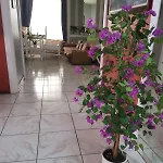 Unique View With Wifi Apartamento *