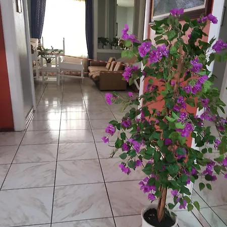 Unique View With Wifi Apartman *